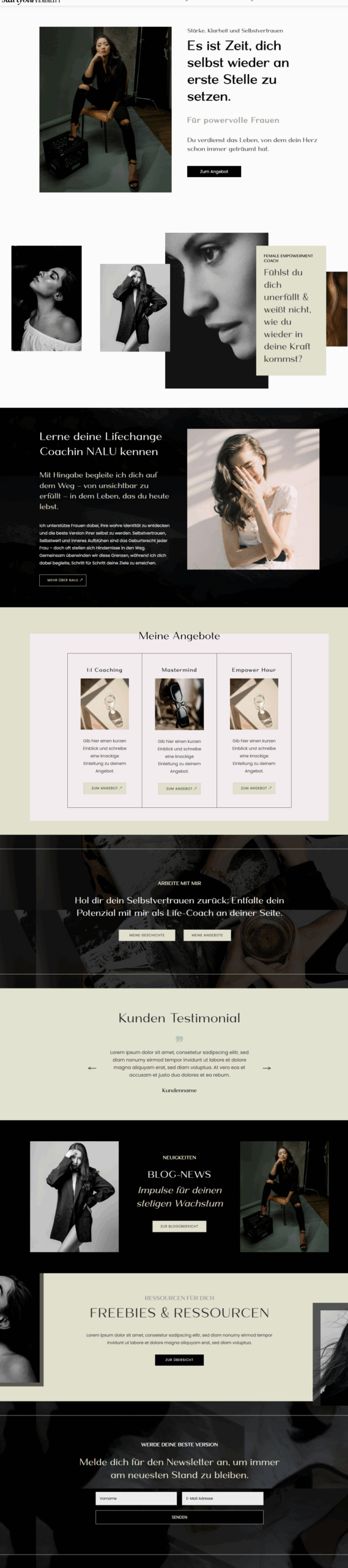 Startyourvisibility Template Full Screenshot Nalu