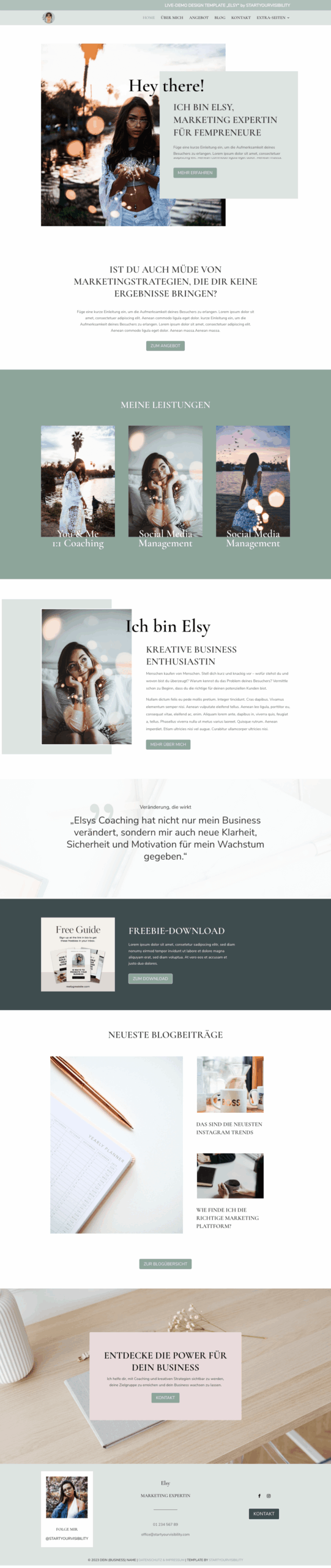 Startyourvisibility Template Full Screenshot Elsy